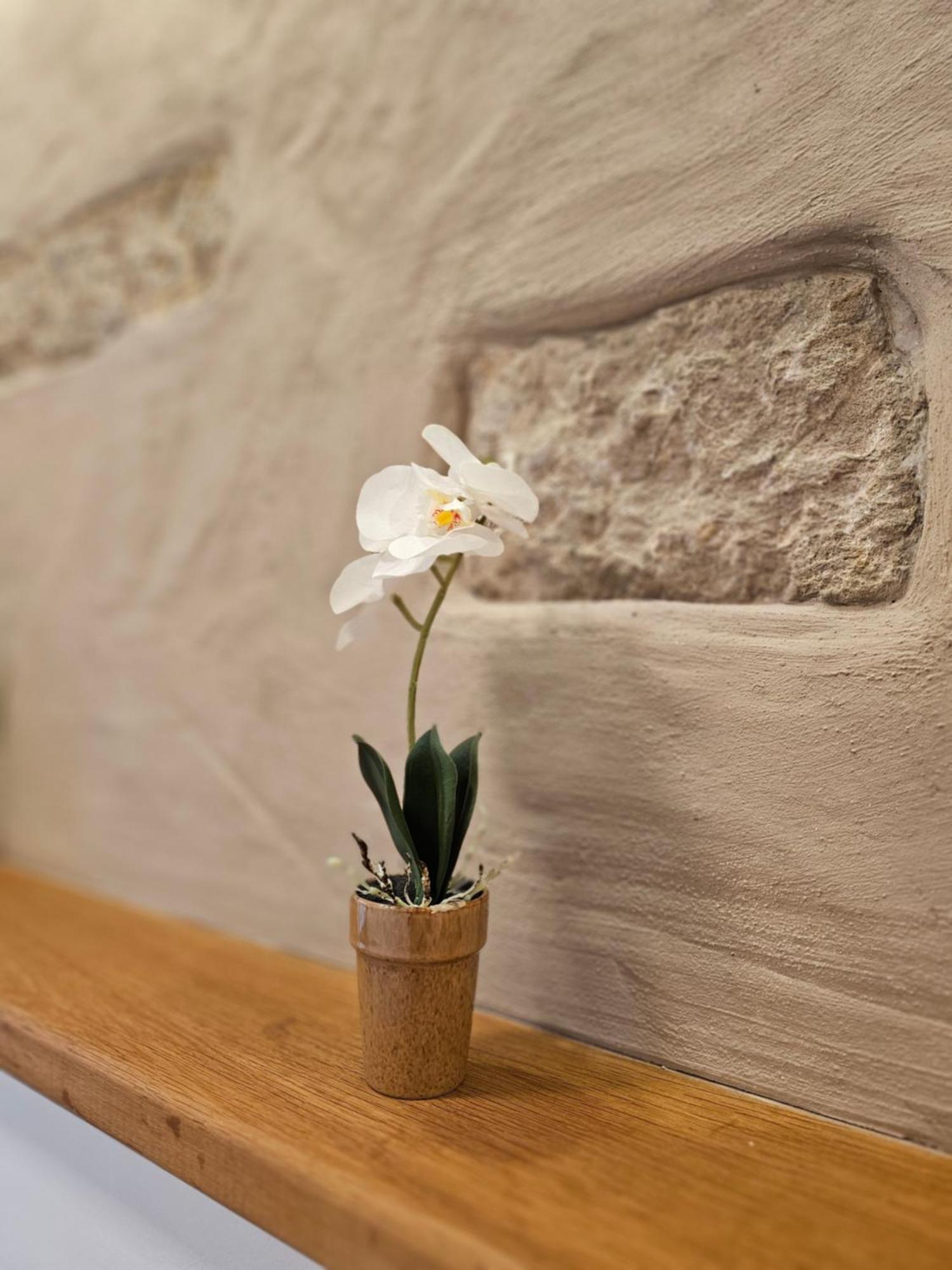 Grunsfeld Ferienapartment Wilma מראה חיצוני תמונה