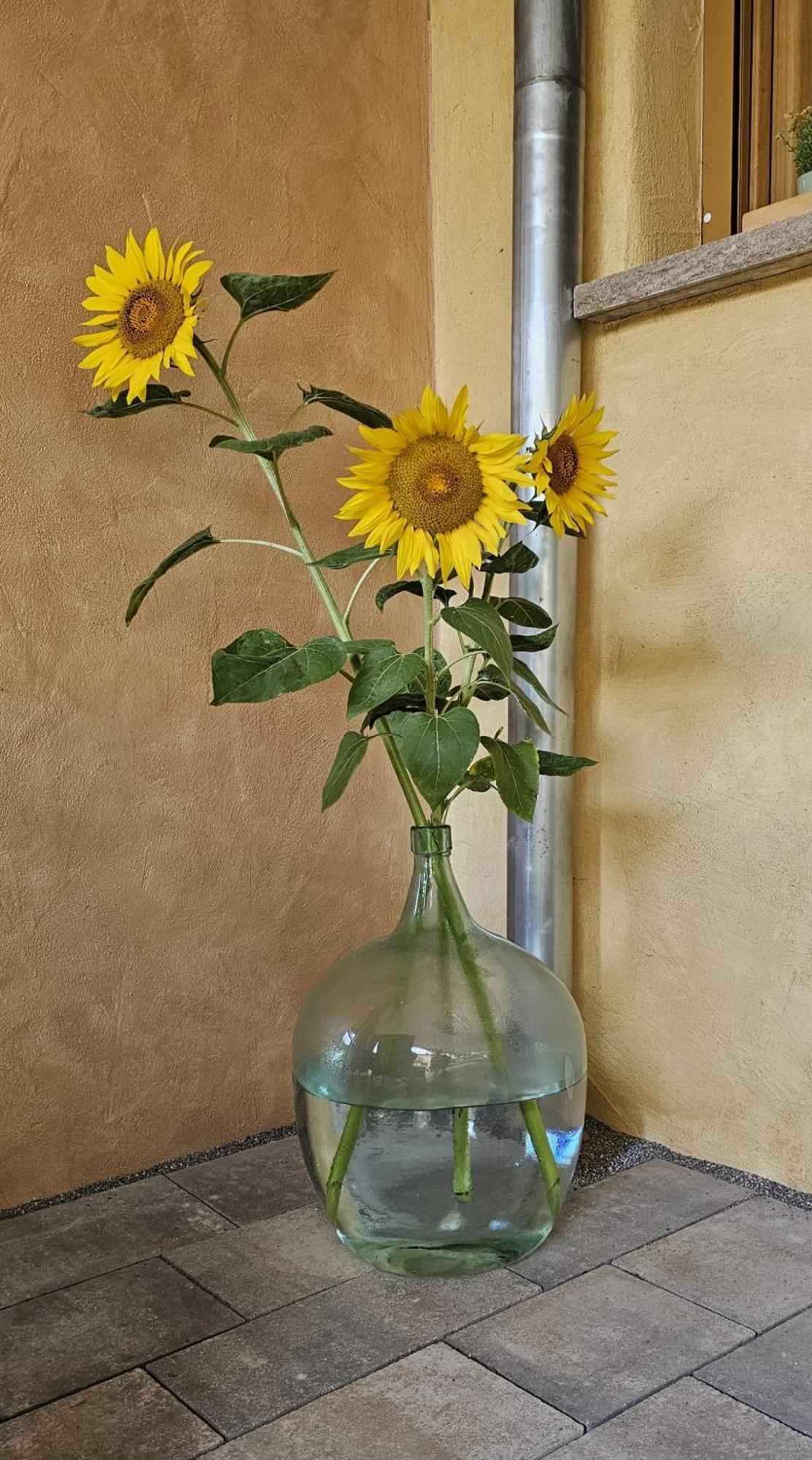 Grunsfeld Ferienapartment Wilma מראה חיצוני תמונה